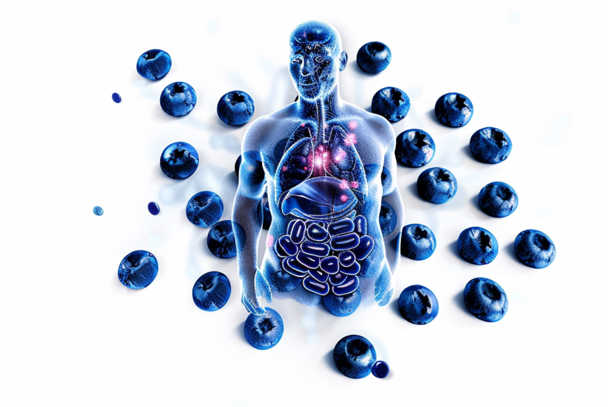 Do blueberries help digestion?